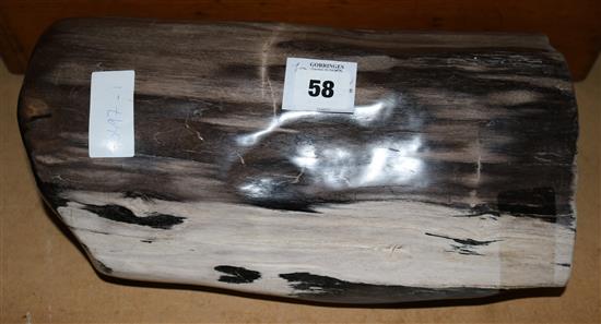 Sculpture of fossilised wood, Indonesian(-)